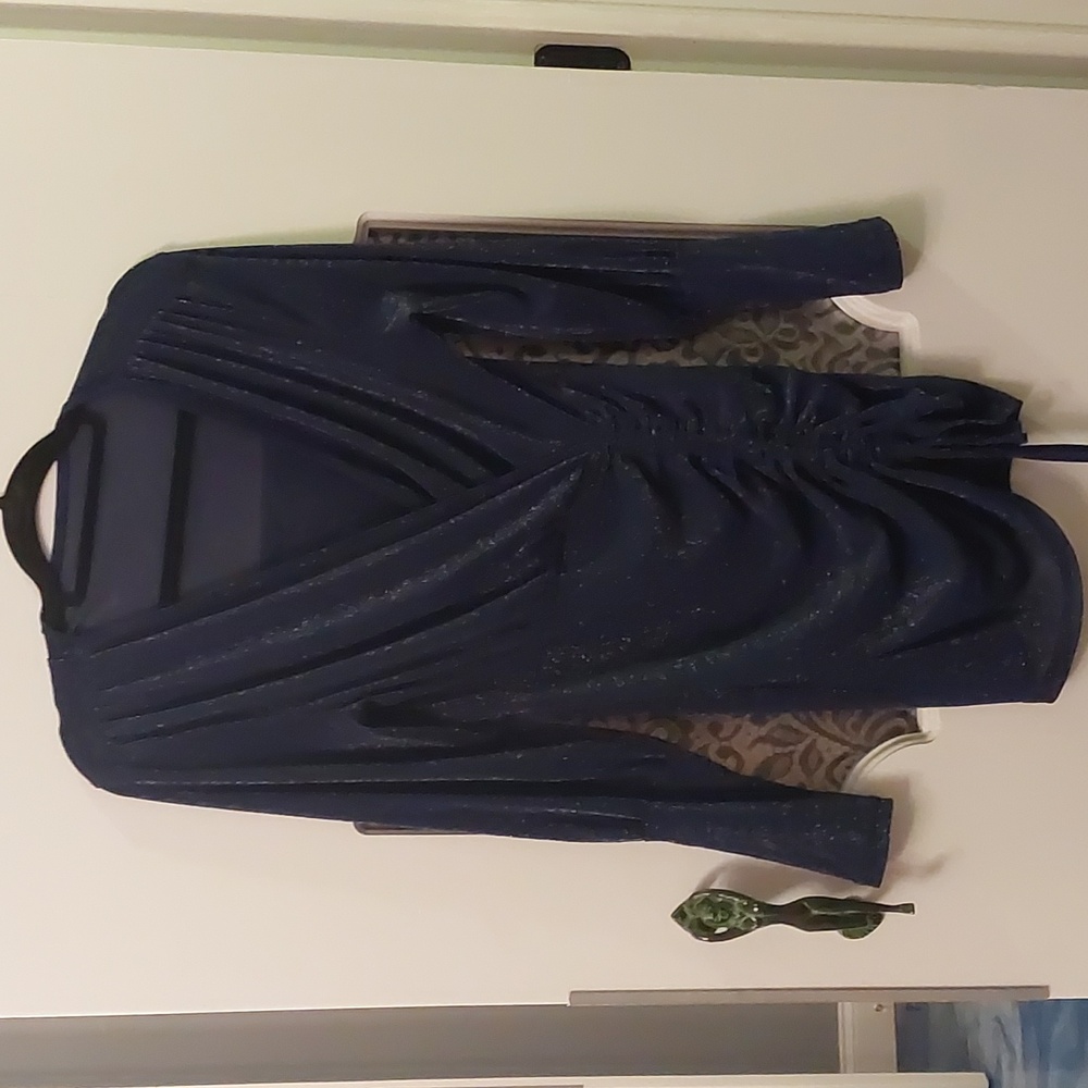 Sheer navy blue and silver dress